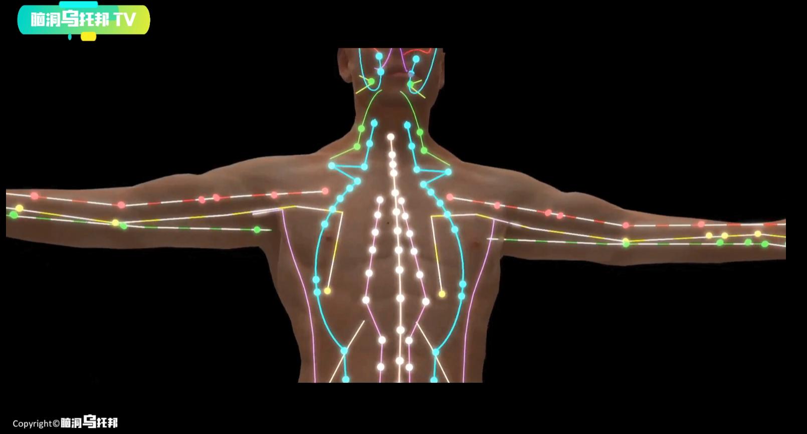 主宰人生死的隐藏器官,主宰生死的神秘器官