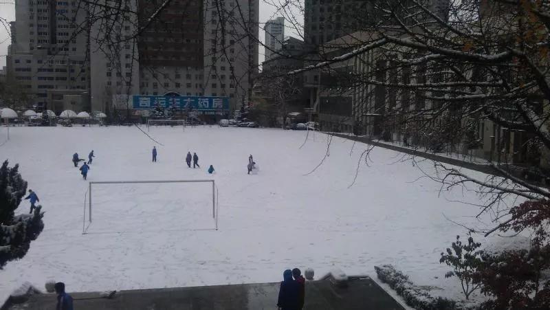 大连市第十三高级中学,大连市第八中学在辽宁省排名