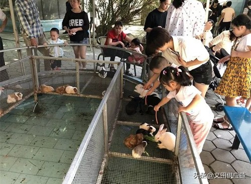 农村应该做什么副业最赚钱,农村做什么事业赚钱