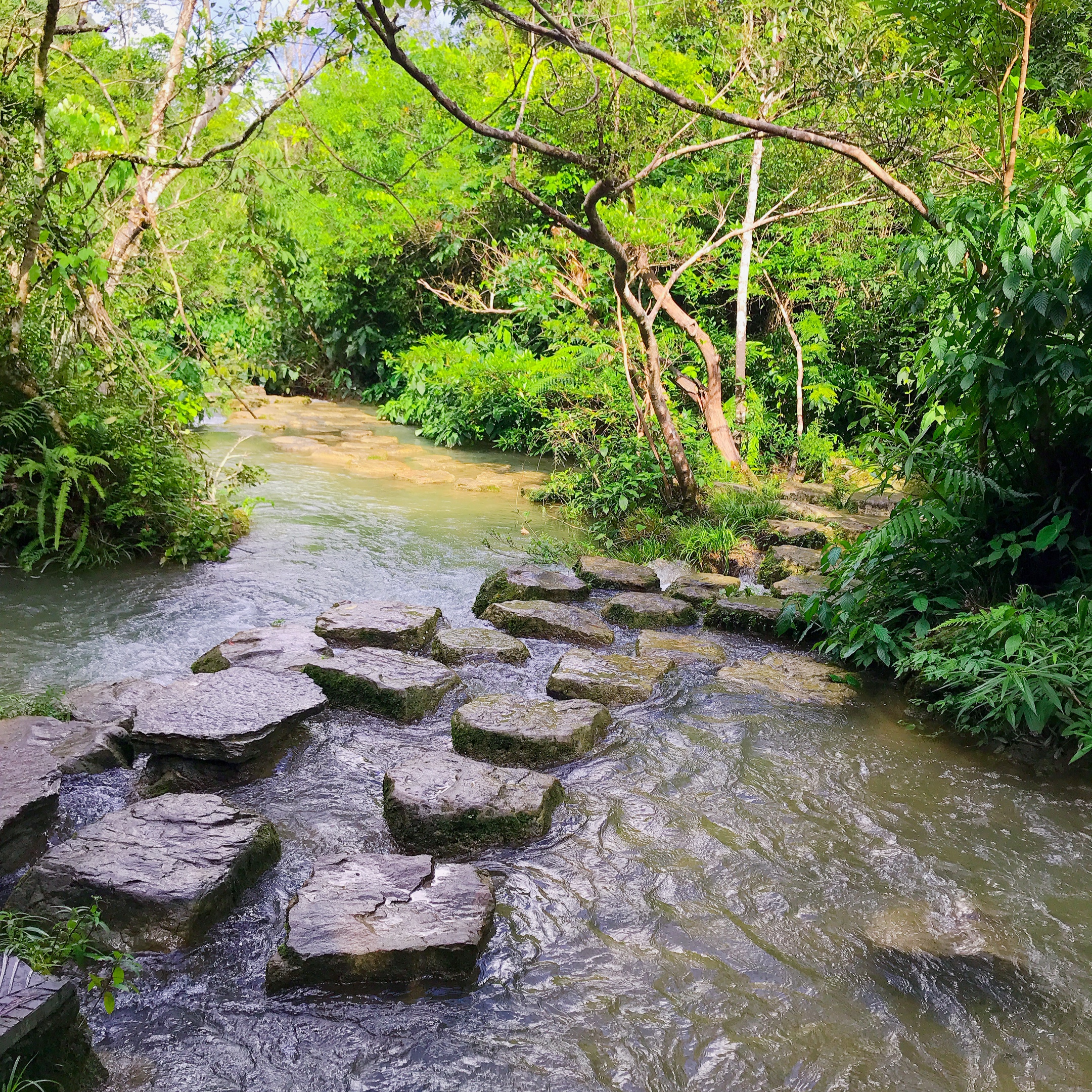 自驾游荔波小七孔旅游攻略,荔波小七孔游记600字