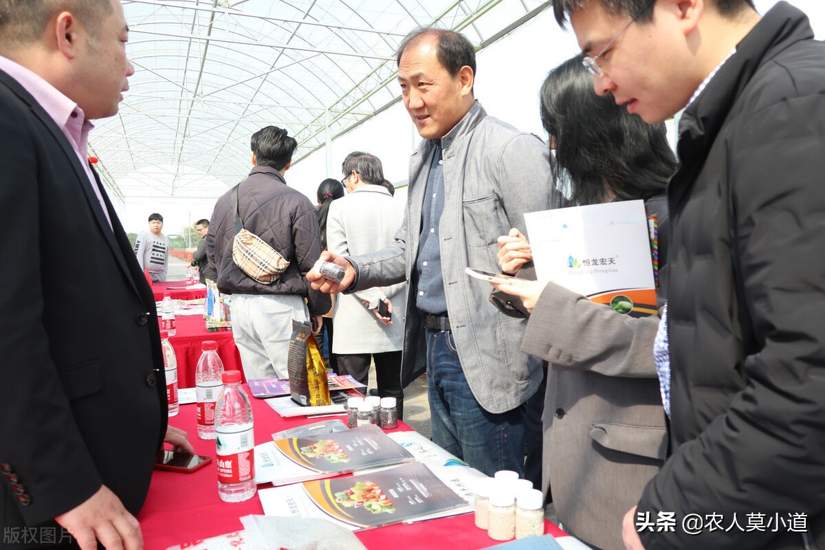 孩子买的农村合作医疗是不是医保,农村合作医疗孩子有必要买保险吗