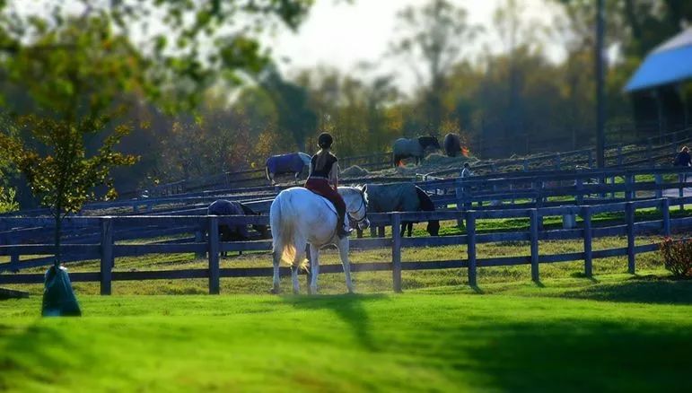 美国寄宿中学特色介绍,美国女子寄宿学校排名