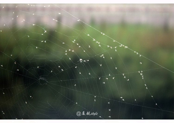 中国七仙女传说,七仙女传说之乡在哪个城市