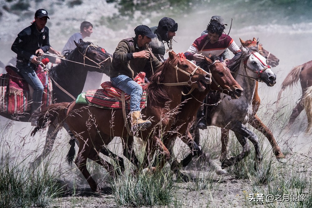 铁血雄鹰全剧,铁血雄鹰全文阅读