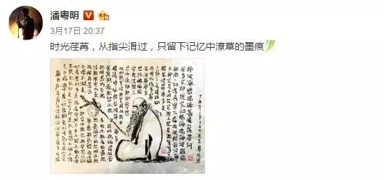 潘粤明近几年作品,潘粤明年轻时的戏