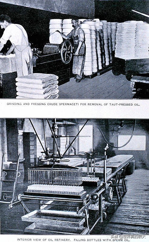 南极欺骗岛攻略,南极欺骗岛简介