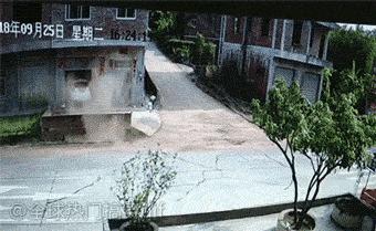 每日一乐让你一天都快乐,每日一乐让你快乐