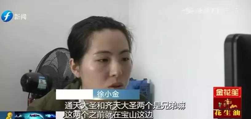 幸福的爱情模样,爱情幸福的模样1-40集免费观看