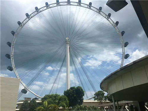 新加坡留学准备物品 (干货前往新加坡留学必备物品清单)