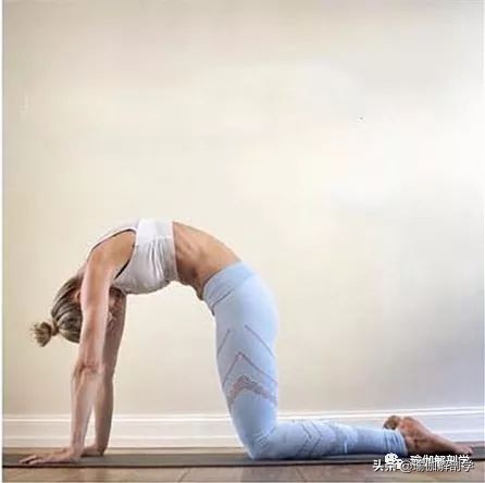 适合初学者练习的基础瑜伽动作,瑜伽基础拉伸初学者