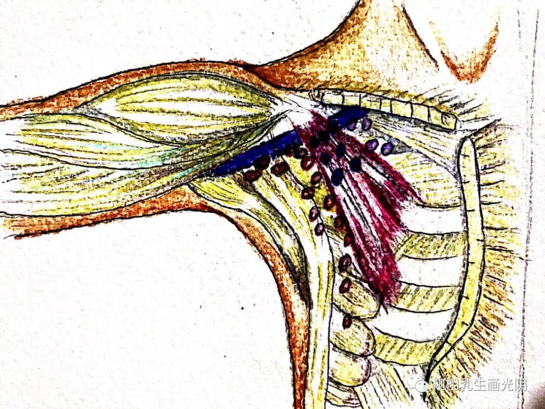 最贵的房子内部图片,最贵的房子内部