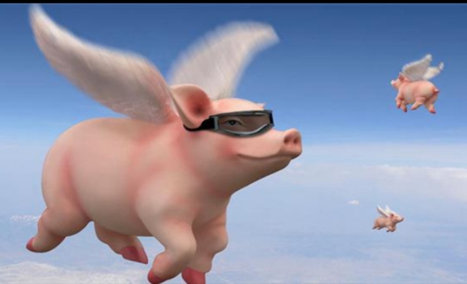 一位老股民的肺腑之言,给股市新手的几点忠告