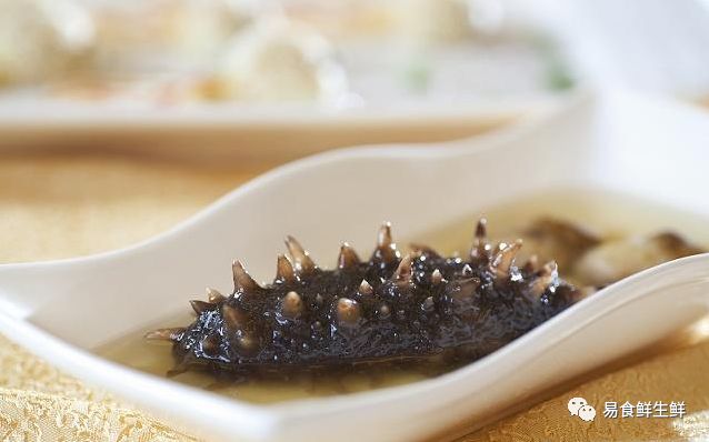 海参那么贵真的有营养吗,海参多少钱一斤为什么这么贵