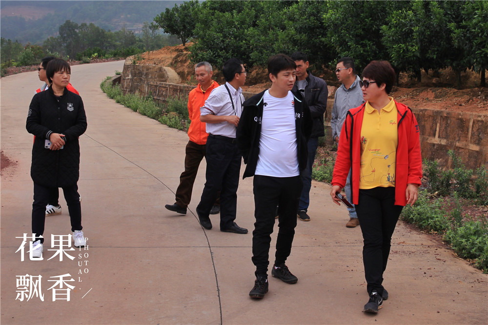 上市最早，收益最高，风险最大，果园投资的子午谷奇谋可取吗？