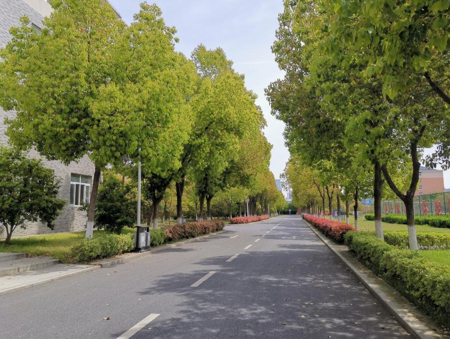 合肥滨湖职业技术学院招生“遇冷”，33个专业没招满，缺额1474人