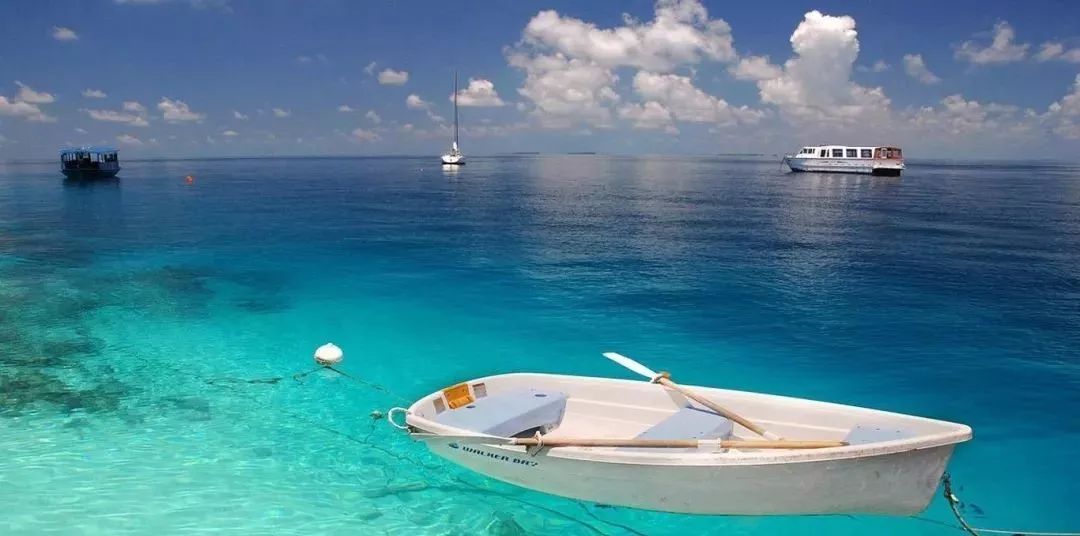 最新免签落地签国家名单,最新免签国家名单公布