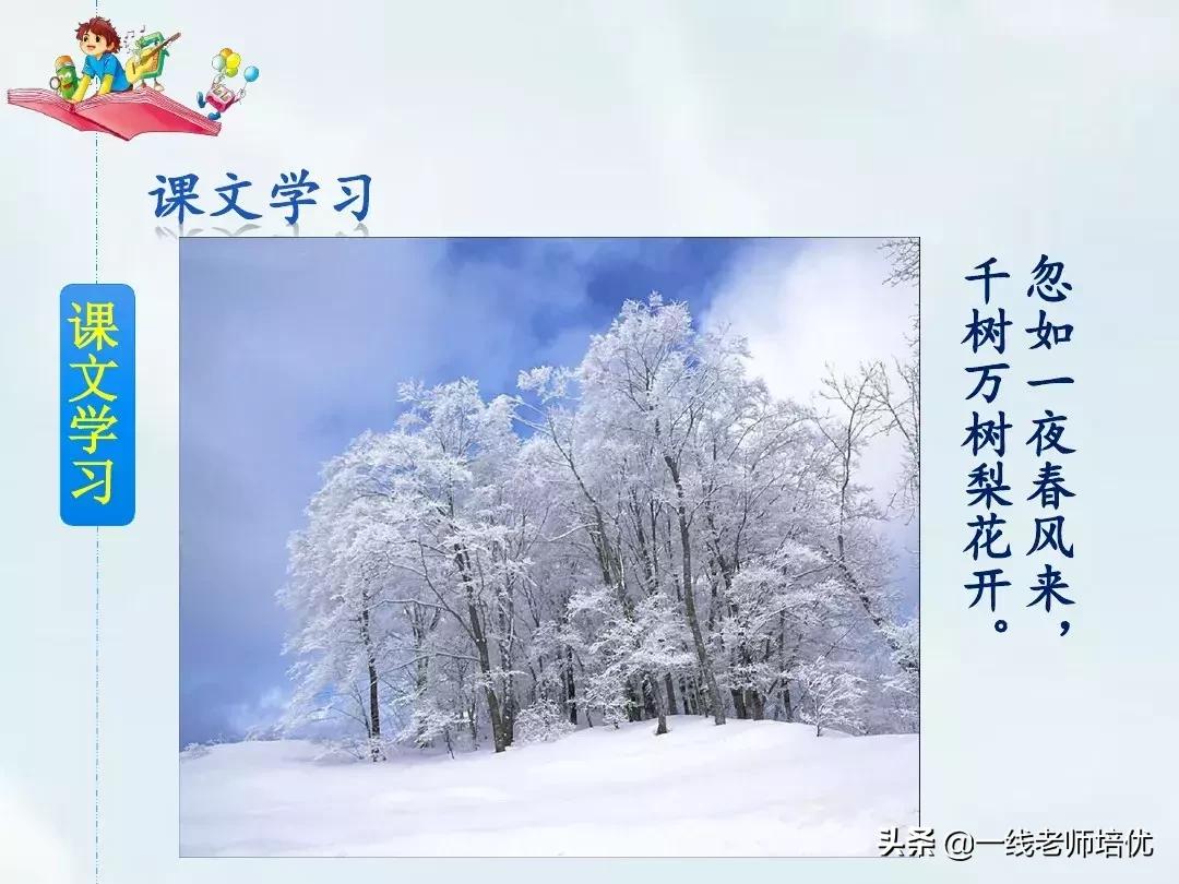 呼风唤雨的世纪答案四年级上册,四年级上册呼风唤雨的世纪讲解