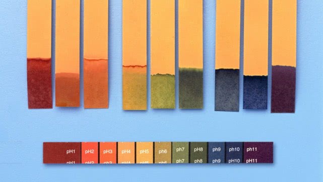 ph什么时候开始,ph应该保持在多少