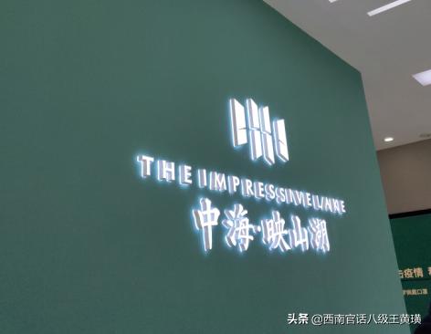 贵阳金茂观山湖业主被打事件,贵阳金茂观山湖业主被打后续