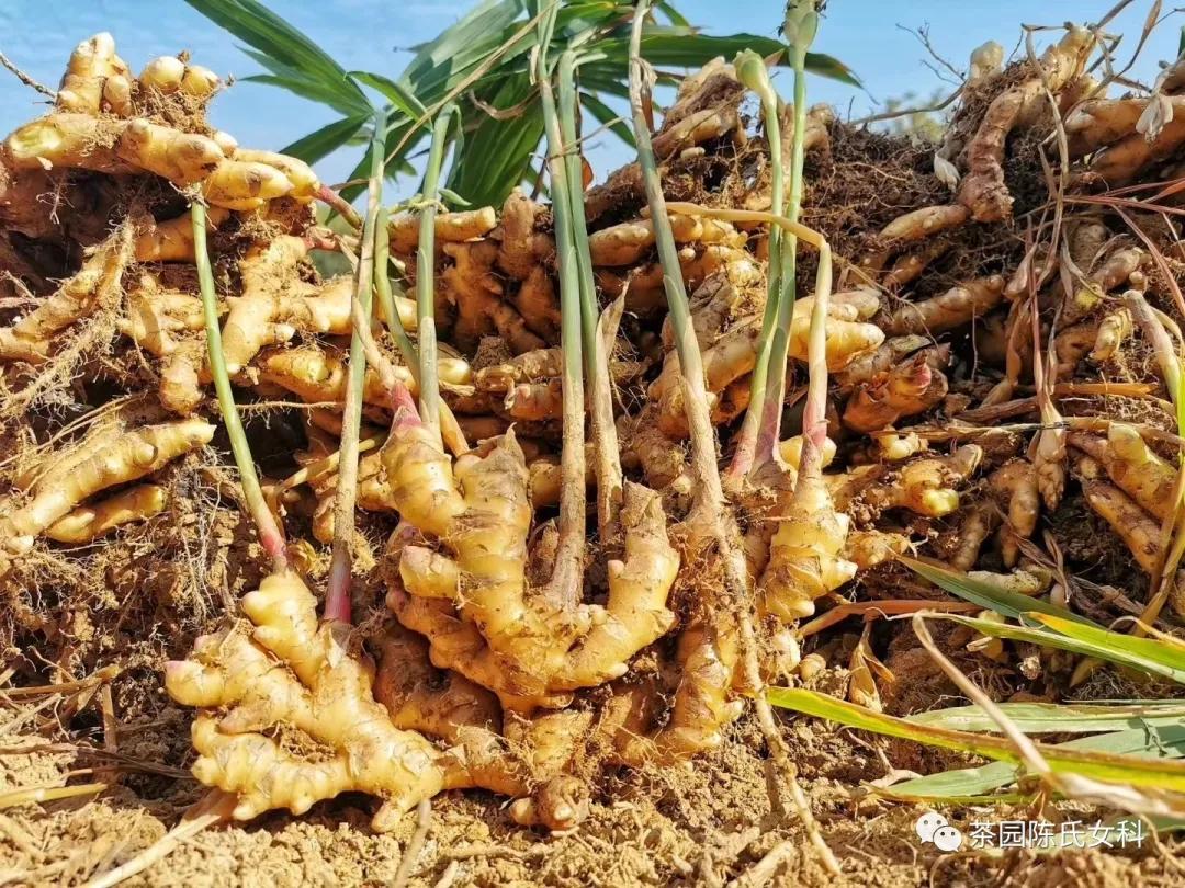 产妇必看:产后吃得对,母婴少遭罪