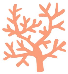 巽寮湾暑假平日不限行，299抢一线海景房送双人巽秀门票，安排上