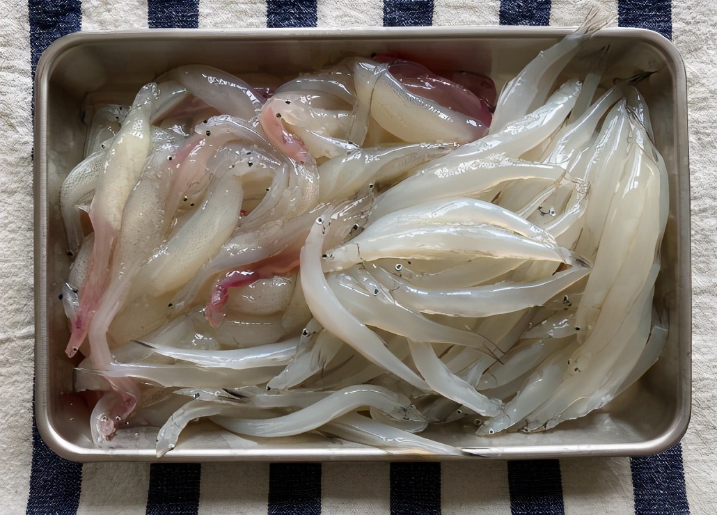 等一个人陪我去湛江,等一个人陪我去旅游