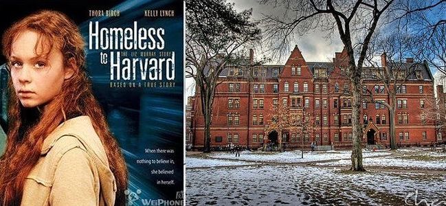 初中生线上英语课哪个平台能上好,初中学英语靠谱的平台