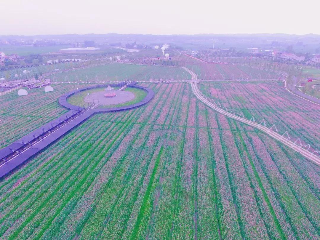 常德国庆去哪旅游比较好,中秋去哪