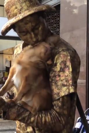 狗狗和主人扮雕像，这工作普通狗做不来，但它一脸享受的样子