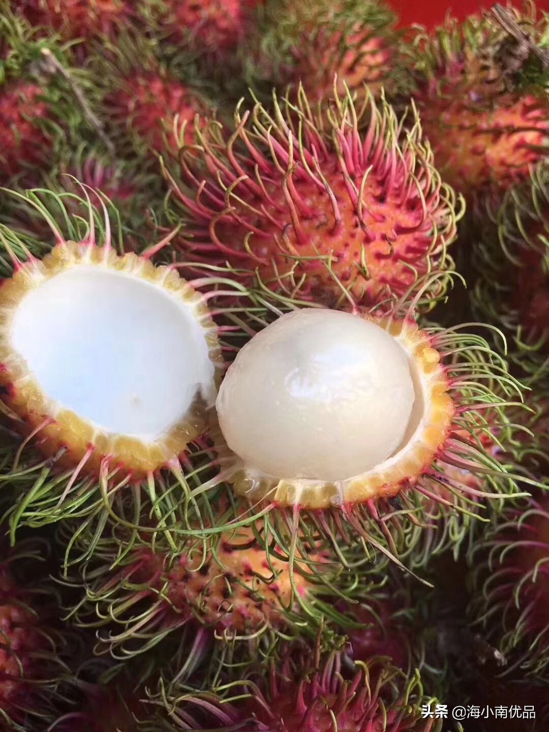 红毛丹怎么剥里面的壳,剥红毛丹的正确方法