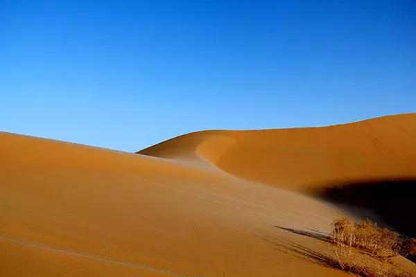 适合发展初期的公司团建,老板的团建hr的团建