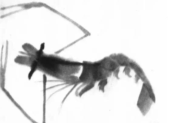 齐白石群虾的绘画手法,齐白石群虾用铅笔怎么画