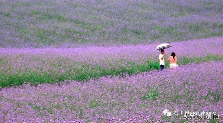 广西人丁最旺的地方,广西含硒最多的地方