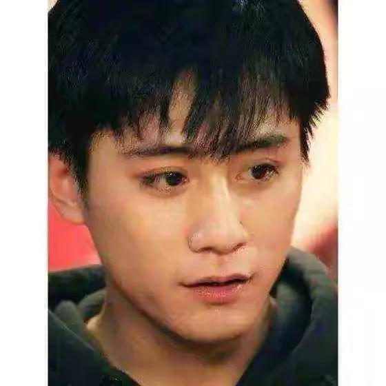 谢娜的情感史,谢娜感情经历