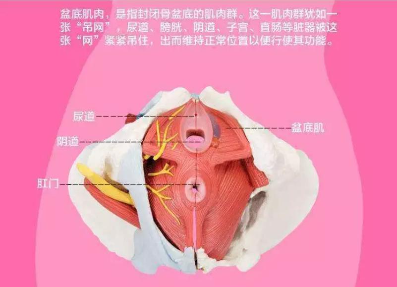 *生活性**不和谐？学会这招，从容应对