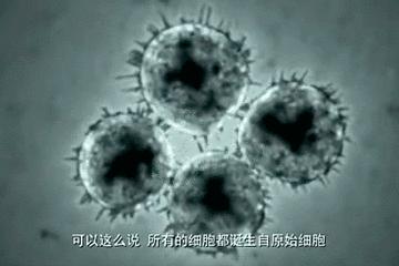 玛雅末日预言发生了什么,玛雅预言2012