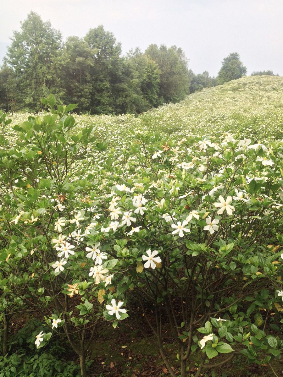 武汉恒发科技有限公司怎么样,武汉恒发科技有限公司简介