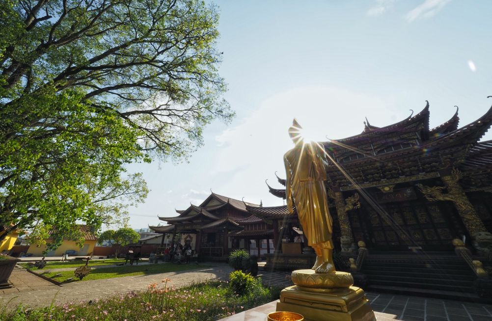 云舍结局,云舍最后的结局怎么样