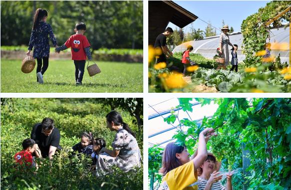 北京4月踏青的地方丰台区有哪些,丰台踏青好去处