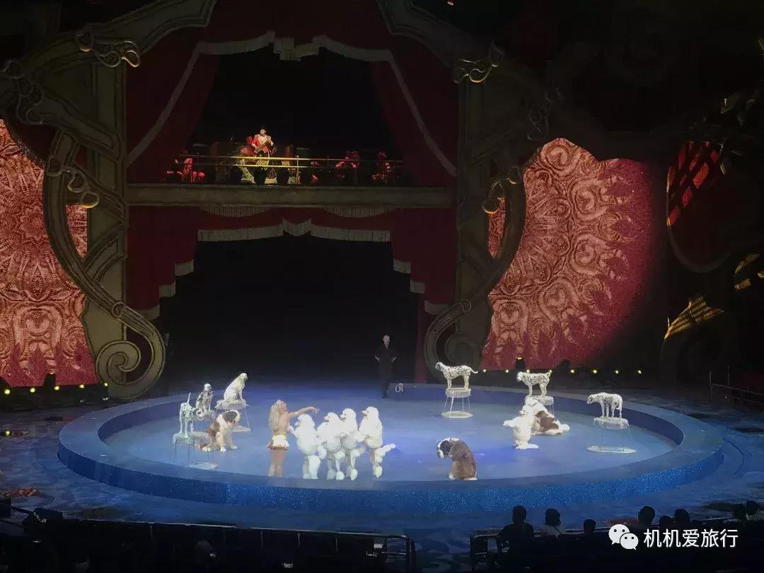 珠海和广州长隆旅游攻略,珠海长隆乐园游玩攻略