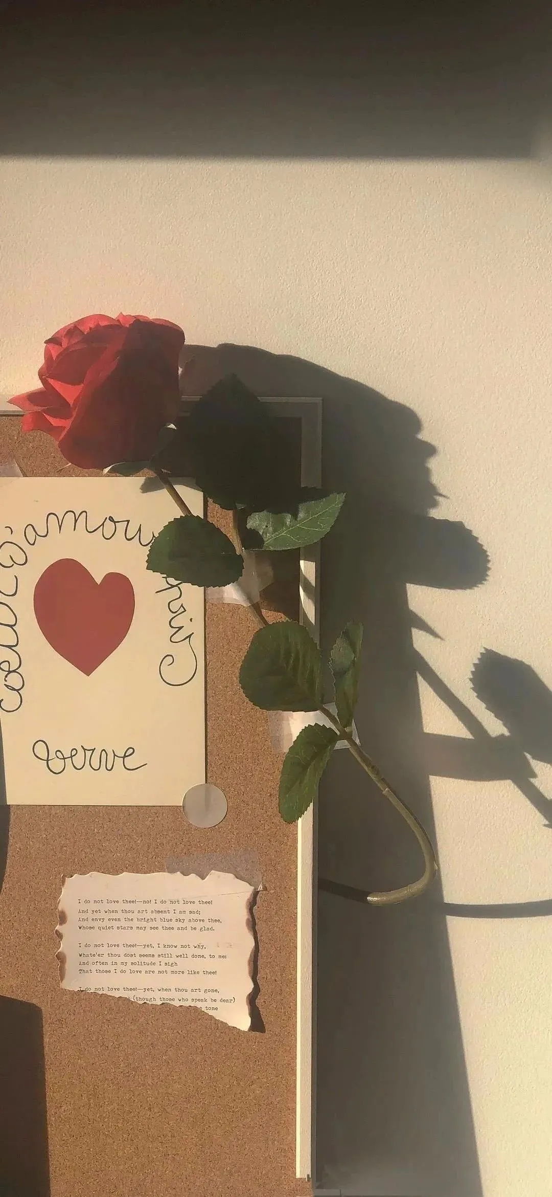 你们住一起,什么相位在一起会感觉很痛苦