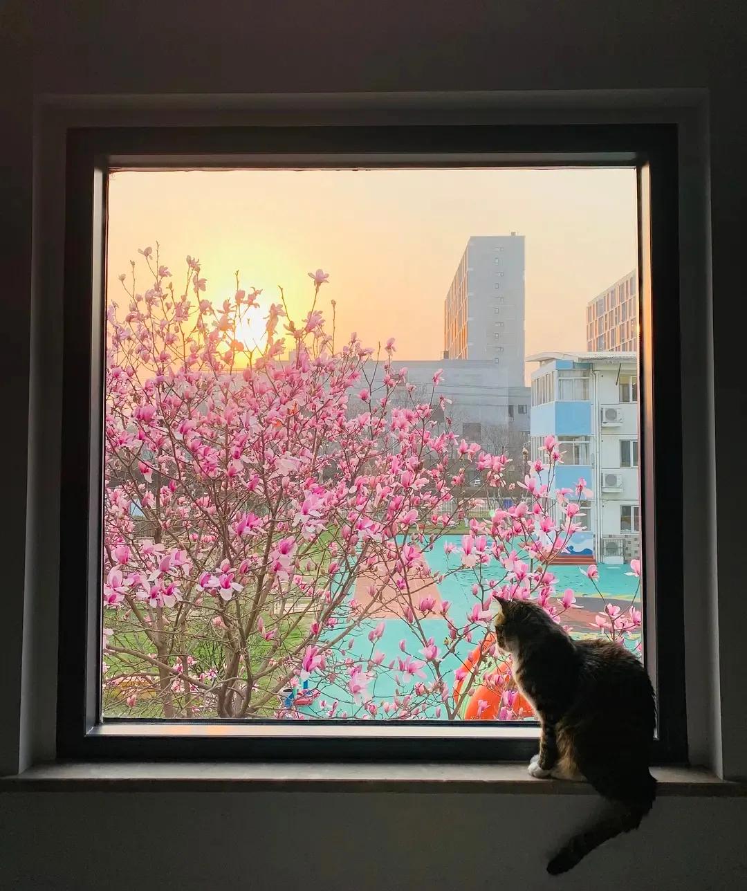 12个“无用”之美，第一个就被惊艳到了