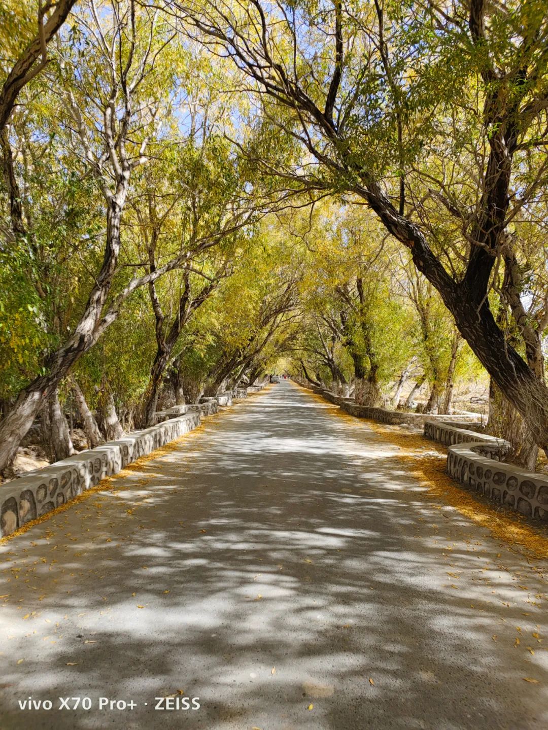 iphone13pro拍照对比vivox70pro,iphone13拍照对比vivox70pro