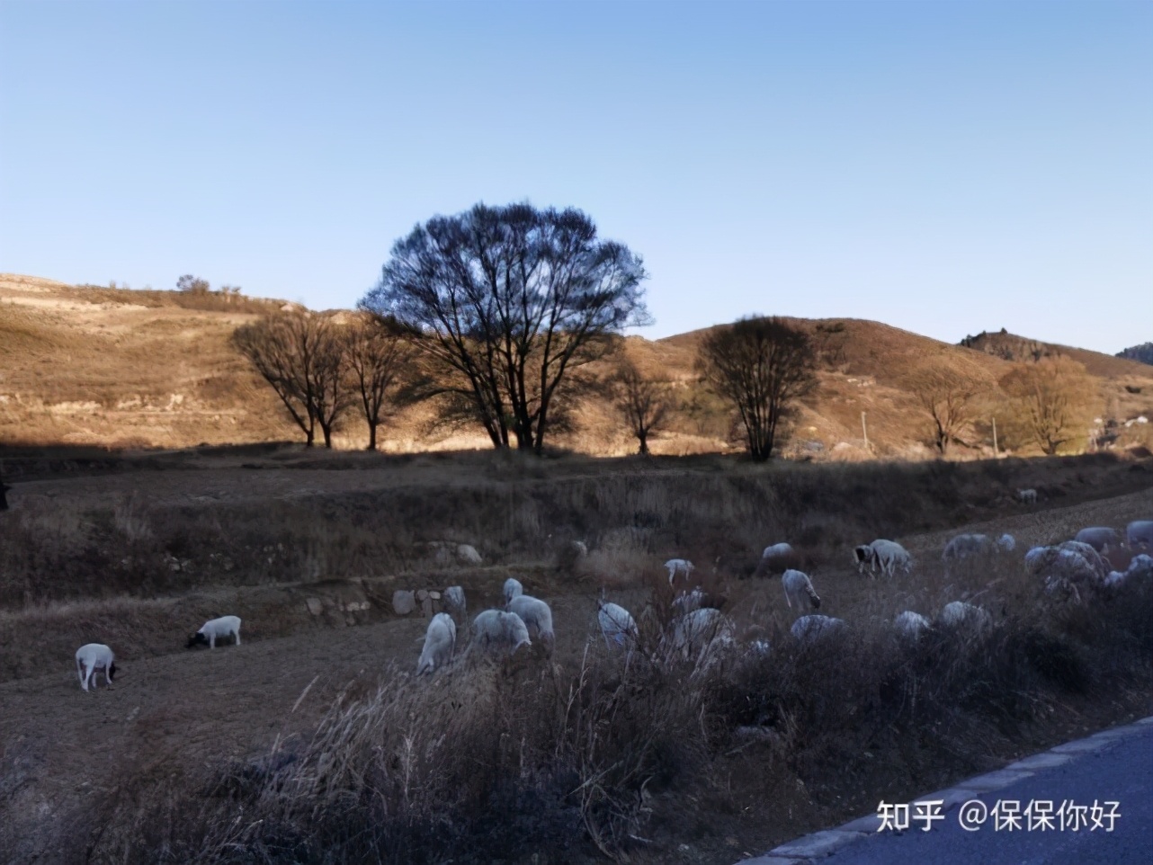 明亚保险经纪人有前途吗,明亚保险经纪人怎么考