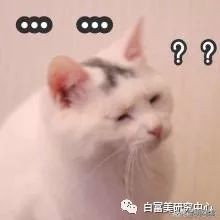 北京小公主靠吸猫血成百万大V,直播整容、大照骗、2年养死3只猫