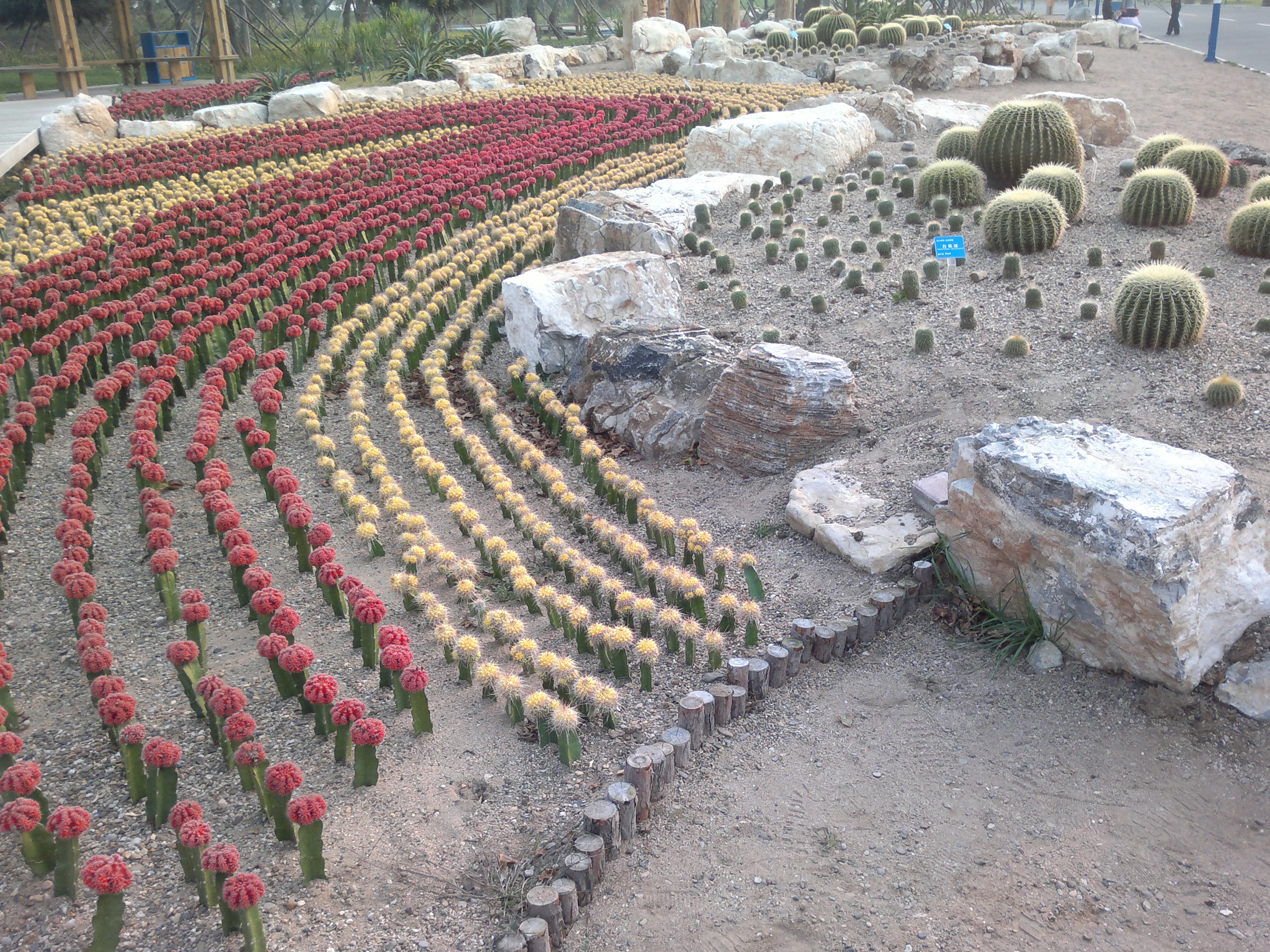 锦州世博园最好的地方,锦州世博园最佳游玩时间