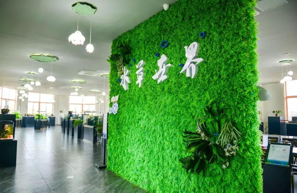 金湖荷花荡图片,金湖荷花荡介绍