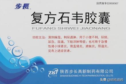 吃什么中成药可以护肾防肾病,肾病6种常用药是护肾小助手