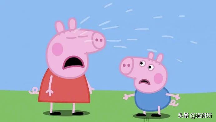 猫咪可以吃猪肉猫粮吗,养猫的你要知道猫咪不能只吃干粮