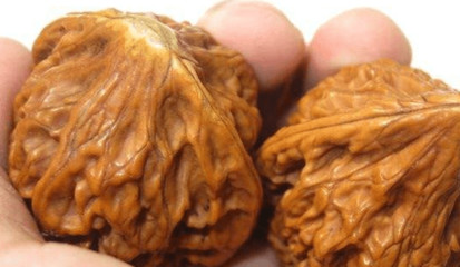 文玩核桃哪个品种值得盘玩,文玩核桃有点黄是怎么回事